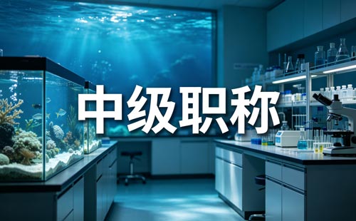 福建中级职称